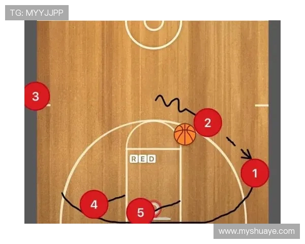 成都乒乓球队区域防守体系的战术分析与实践探讨