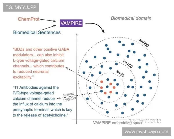 武汉排球队力量表现数据分析揭示运动员潜力与训练效果的深度研究