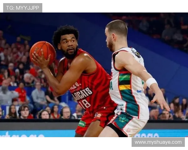 珀斯野猫与新西兰球队对决结果揭晓精彩瞬间回顾