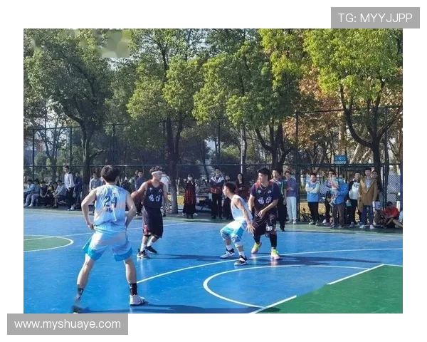 武汉排球队的阵地战革新探索与实践之路全景分析