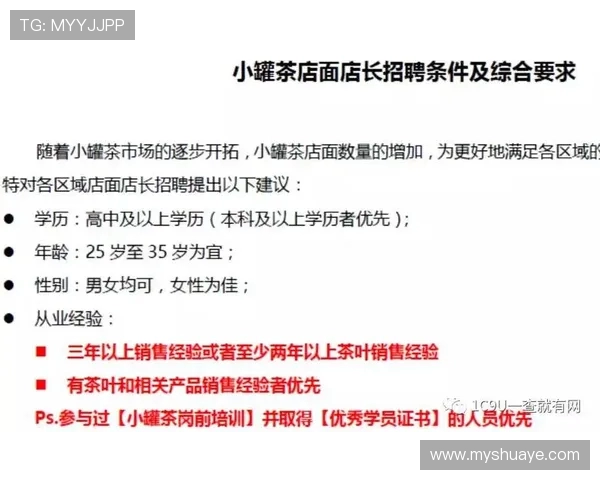 深入分析北京排球队的运营策略与市场推广模式