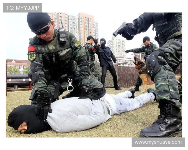 上海排球队的灵活性揭秘：从战术到训练的全面剖析与探讨