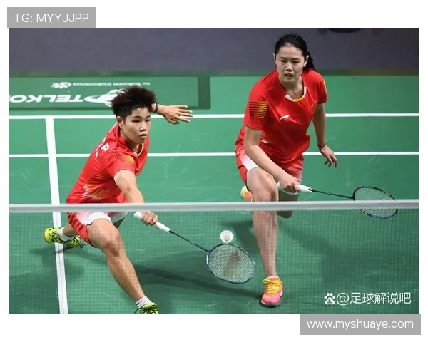 南京羽毛球队的节奏与发展：探索羽毛球运动的魅力与未来