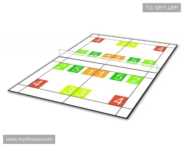 广州羽毛球队整体压制战术解析与实战应用探讨