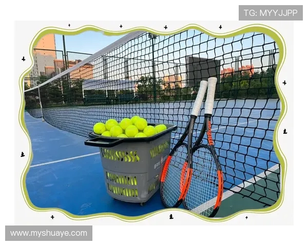 成都网球队的速度与激情探索网球运动的魅力与发展潜力