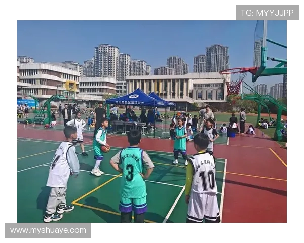 杭州篮球队的默契配合探讨与战术分析助力球队成长与发展